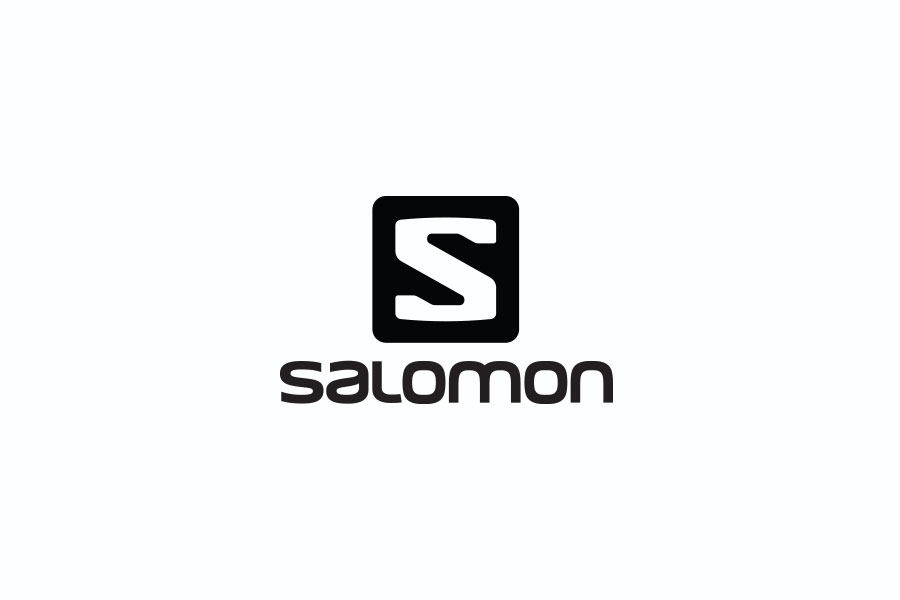 Salomon logo 2